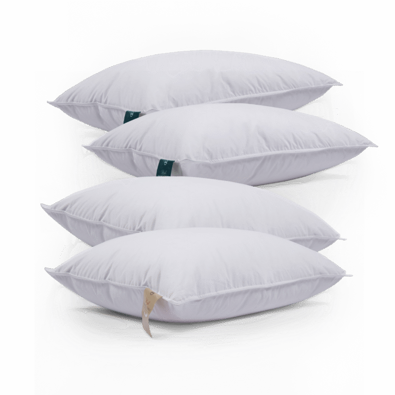 Combo 4 :  2 Goose Pillow + 2 Duck Pillow