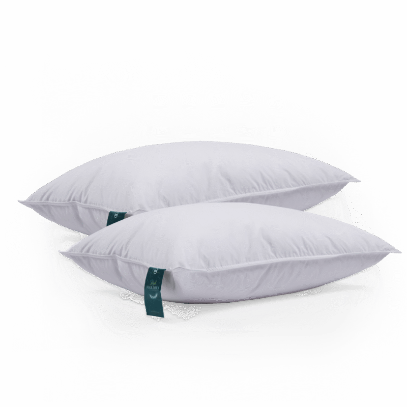Combo 2 : Feather Pillow Royal duck down